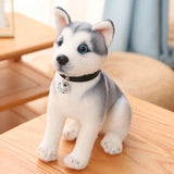 Peluche Husky Réaliste