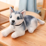Peluche Husky Réaliste