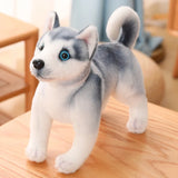 Peluche Husky Réaliste
