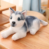 Peluche Husky Réaliste
