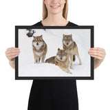 Tableau avec des loups cadre noir 30 cm x 45 cm