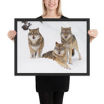 Tableau avec des loups cadre noir 45 cm x 61 cm