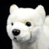 Bebe loup peluche blanc