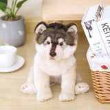 Petit husky peluche