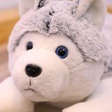 Loup geant peluche