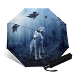 parapluie loup forêt 