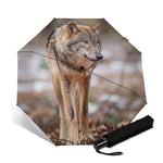 parapluie loup gris