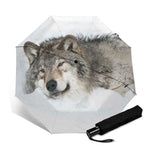 parapluie loup paisible 