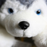 Peluche loup