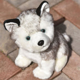 Petit loup en peluche