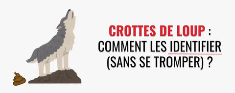 crottes de loup