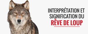 Rêver de loup : qu'est-ce que ça signifie ? (symbolique et interprétations)