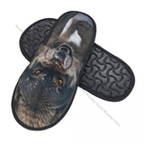 CHAUSSONS LOUP RUGISSANT