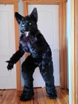 COSTUME FURRY LOUP NOIR INTENSE