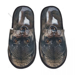 CHAUSSONS LOUP RUGISSANT