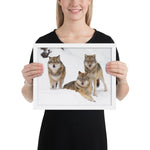 Tableau avec des loups cadre blanc 27 cm x 35 cm