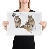Tableau avec des loups cadre blanc 30 cm x 45 cm