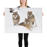 Tableau avec des loups cadre blanc 61 cm x 91 cm