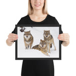 Tableau avec des loups cadre noir 30 cm x 40 cm