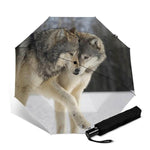 parapluie loup unification 