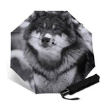 parapluie loup alpha gris