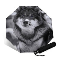 Parapluies Loup